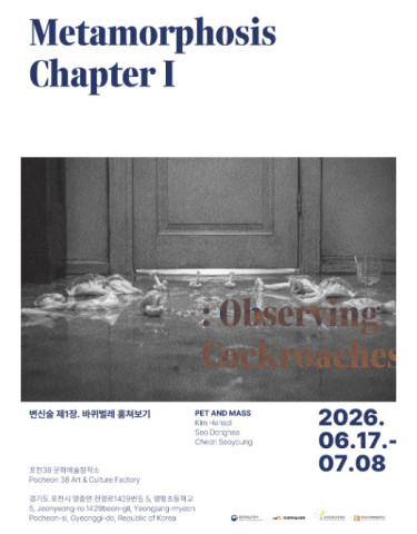 변신술 제1장. 바퀴벌레 훔쳐보기 리스트 이미지